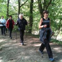 Marche Nordique dans la Métropole Lilloise