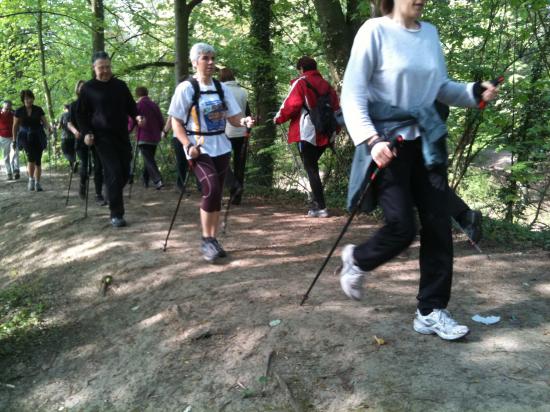 Marche Nordique dans la Métropole Lilloise