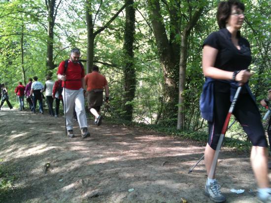 Marche Nordique dans la Métropole Lilloise