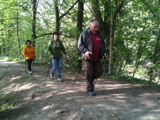 Marche Nordique dans la Métropole Lilloise